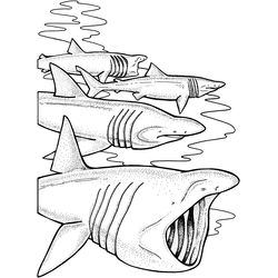 Tiburón #9394