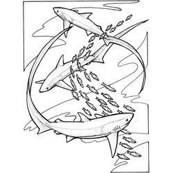 Tiburón #9395