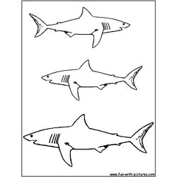 Tiburón #9396