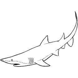 Tiburón #9400