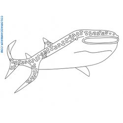 Tiburón #9403