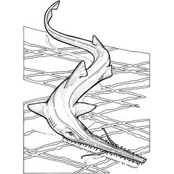 Tiburón #9407