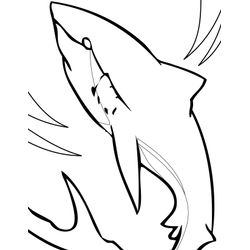 Tiburón #9413