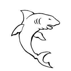 Tiburón #9421