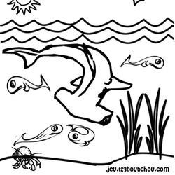 Tiburón #9422