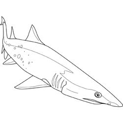 Tiburón #9423