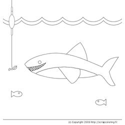 Tiburón #9453