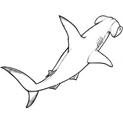 Tiburón #9464