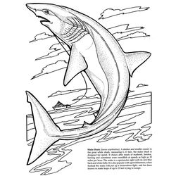 Tiburón #9466