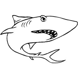 Tiburón #9469