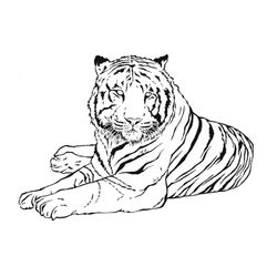 Tigre #9482