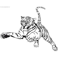 Tigre #9484