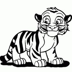 Tigre #9487