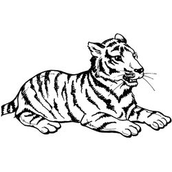 Tigre #9488