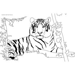 Tigre #9490