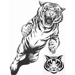 Tigre #9493