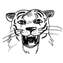 Tigre #9495