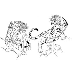 Tigre #9497