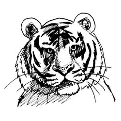 Tigre #9498