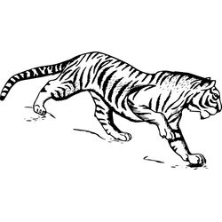 Tigre #9503