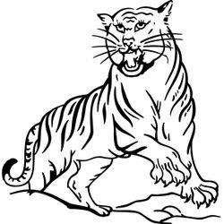 Tigre #9504