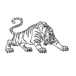 Tigre #9506