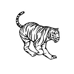 Tigre #9511
