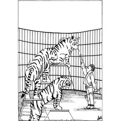 Tigre #9515