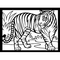 Tigre #9518
