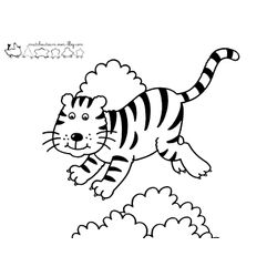 Tigre #9519
