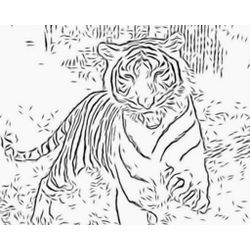 Tigre #9524