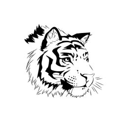 Tigre #9525