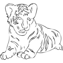 Tigre #9529