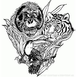 Tigre #9534