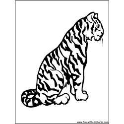 Tigre #9535