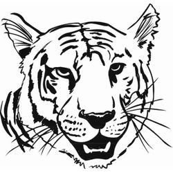 Tigre #9544