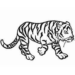 Tigre #9545