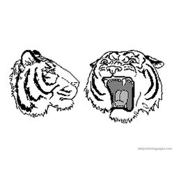 Tigre #9551