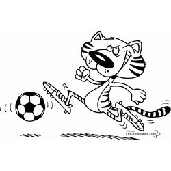 Tigre #9554