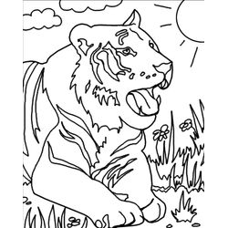 Tigre #9556
