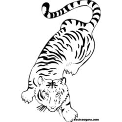 Tigre #9559