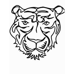 Tigre #9564