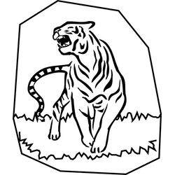 Tigre #9567