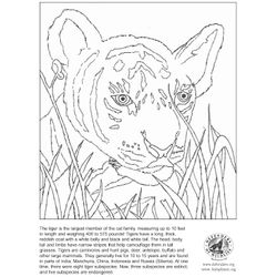 Tigre #9568