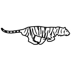 Tigre #9571