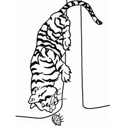 Tigre #9572