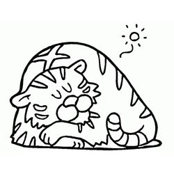 Tigre #9575