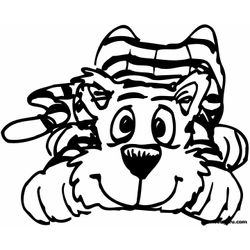 Tigre #9576