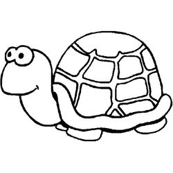 Tortuga #9601