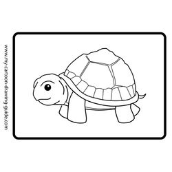 Tortuga #9606